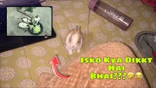 Sirf 18 Din Mein Itne Shaitaan Ho gye😂😂