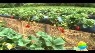 CORPOGUAVIO-Ruta Agua Parte1.wmv