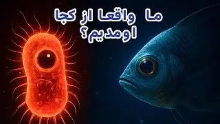 اولین موجودات روی زمین: زندگی از کجا شروع شد؟