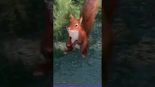 🦊 Most aggresive squirrel you'll ever meet (Druid Grove) Baldur's Gate 3