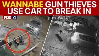 Garland thieves use car to break into gun store