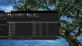installation de Capi'Course logiciel hippique de gestion des mises