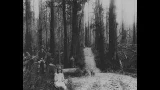 The real video to summon the Slenderman