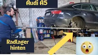 Radlager & Radnabe hinten tauschen - Audi A5/S5/A4 B8 (Nicht angetriebene Achse)