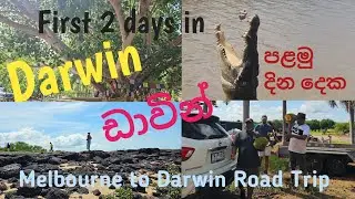 First Two Days in Darwin: Exploring the Heart of Northern Territory | Melbourne to Darwin Road Trip