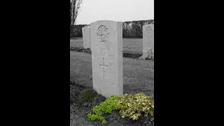 15 gennaio 2026 - Argenta Gap War Cemetery