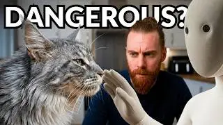 1X NEO Home Robot: I&rsquo;m terrified (a pet owners perspective)