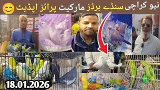 New Karachi Birds Market Sector 5-F Sunday 18-01-2026 | Sunday Bird Market Karachi | SA birds info 