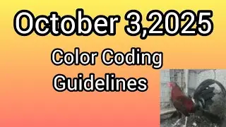 October 3,2025 Color Coding guidelines.