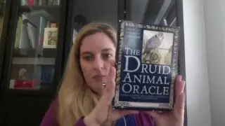 Animal Themed Tarot and Oracle Decks