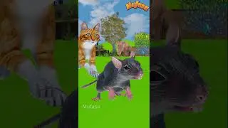 Billi ke Bache | Cat Cartoon | Cat Meowing | Cat | Kittens | Cat Videos | Billi | Meow Meow | Cats