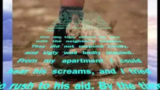 LearnEd Literature - Ugly the Cat a story of Beauty