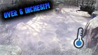 HUGE AMOUNT OF SNOW IN AUSTIN TEXAS