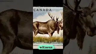 Investment Opportunities in Rare Stamps and Philatelics #ai #Investment
