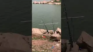 Rawal Dam Fishing #rawaldam #fishing