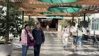 Melbourne City One-Day Tour