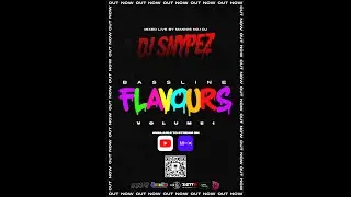 DJ Snypez Presents Bassline Flavours Volume 1