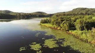Wappa Dam  Sunshine Coast  Parrot Anafi