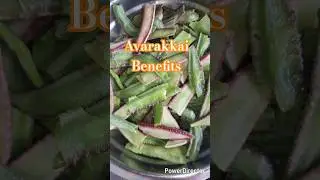 Minivlog # 365🧚&zwj;♀️# Healthy Avarakkai poriyal benefits # health tips # trending viral shorts