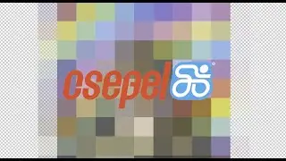 ✨ Csepel Frisco Glamshot ✨