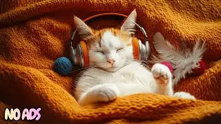 12 Hours Of Dreamy Calming Music for Cats 🐈 Anxiety Relief Sleep Music 💤 No Ads