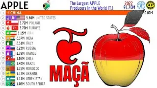 The Largest APPLE Producers in the World
