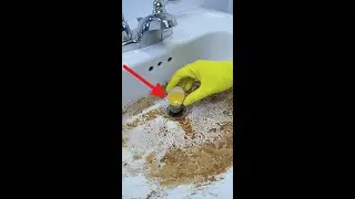 Why Are Plumbers Hiding This Egg Sink Trick?