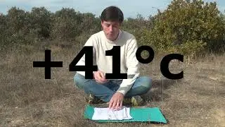 APICULTURE. E15  Végétation brulée, les abeilles souffrent de la sécheresse dans le sud de la France
