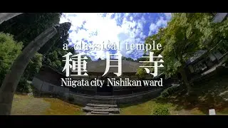 種月寺（4K映像・パワースポット!!）新潟県新潟市西蒲区