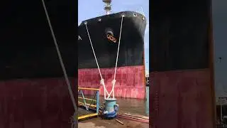 Surya veerya #sqhip #bigships #bigship #cargoships #viral