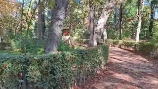 Madrid park 20251103 150952