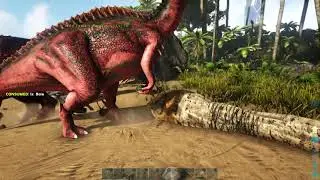 How to tame a parasaur in ark