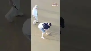 Beachgoers Rescue Stingray Stuck In Sand