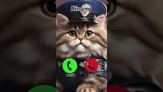 Police siren call effect 🤙😎🤙😎 #police #emergency #firefighter #automobile #ambulance #cat #ringtone