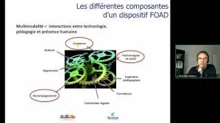 Les différentes composantes d'un dispositif de formation multimodale