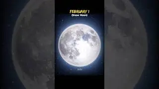 Epic Astronomical Events February 2026 💀🤩 #Shorts #Science #Space #Astronomy #Earth