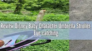 Review Disney Baby Character Umbrella Stroller, Eye-catching, Fun, 3D Stroller, Minnie Play All Day