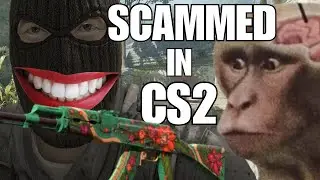 Множество мошенничеств в CS:GO и CS2