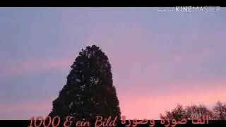 Belchenblick..bei Sonnenaufgang..