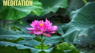 Powerful Focus Meditation for Students & Professionals | Mental Clarity Booster&rdquo;