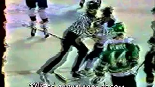 Jan 13, 1991 Larry DePalma vs Cam Brown Kalamazoo Kwings vs Milwaukee Admirals IHL