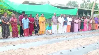 സംസ്ഥാന കൃഷി വകുപ്പു നടപ്പാക്കുന്നഫാം പ്ലാൻ പദ്ധതി കഞ്ഞിക്കുഴിയിൽപച്ചക്കറി തൈകൾ നട്ടു.