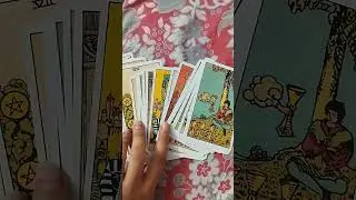 #livereadings #livetarotreadingfree #freetarotreading #livetarot #tarotreading #livereadings