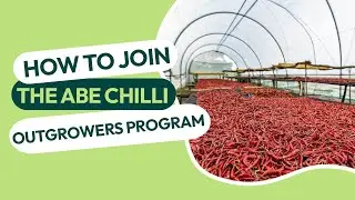 HOW TO JOIN THE ABE CHILLI OUTGROWERS PROGRAM