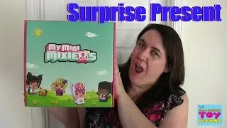 My Mini Mixie Q's Surprise Present Blind Box Opening Toy Review | PSToyReviews