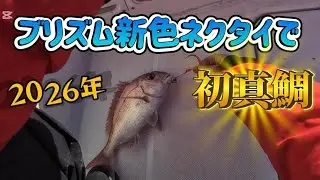 【タイラバ】超短時間でもきっちり結果を出してくれるネクタイ　セッティングも紹介