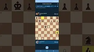 chessmate  ,beginner