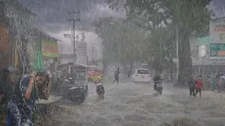 HEAVY RAIN THAT FLOODED MY VILLAGE | RAIN SOUNDS FOR SLEEPING 🌧🥱