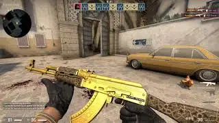 Operation Riptide | AK-47 Gold Arabesque ( MW ) in game play .