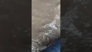 rain fall in Chitrapuri lig colony manikonda
